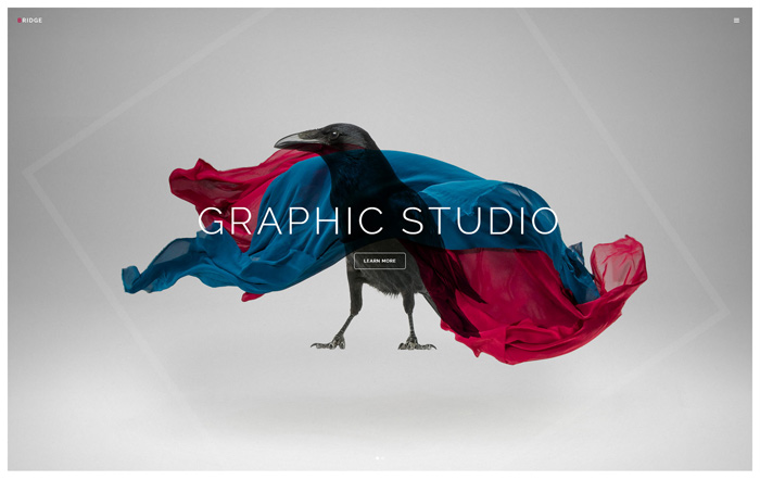 Bridge Graphic Studio Demo