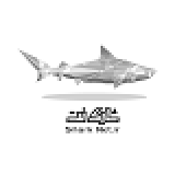 sharknet