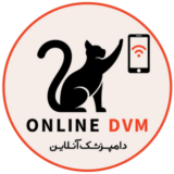 hosseinzadeh71dvm