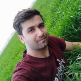 وحید