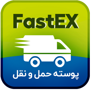 قالب سایت حمل و نقل فستگس، fastex