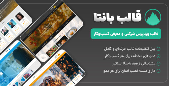 قالب شرکتی بانتا