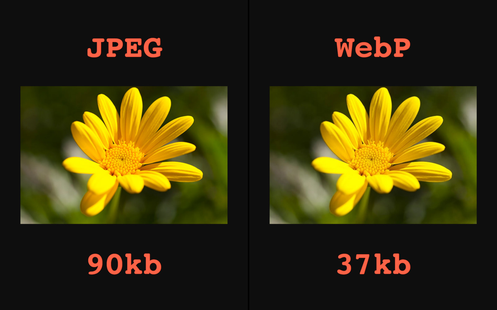 تست تغییر حجم تصاویر قبل و بعد از افزونه webp