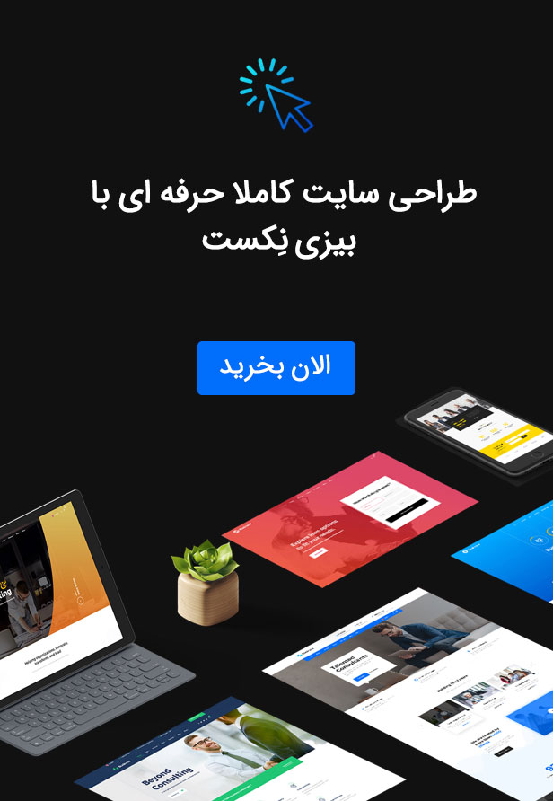 قالب بیزی نکست