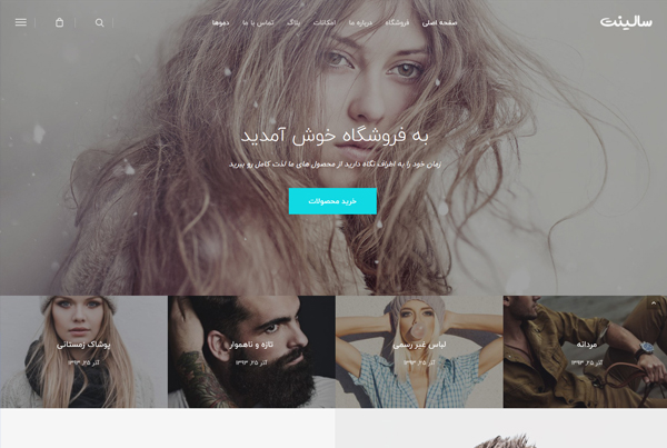 salient ecommerce
