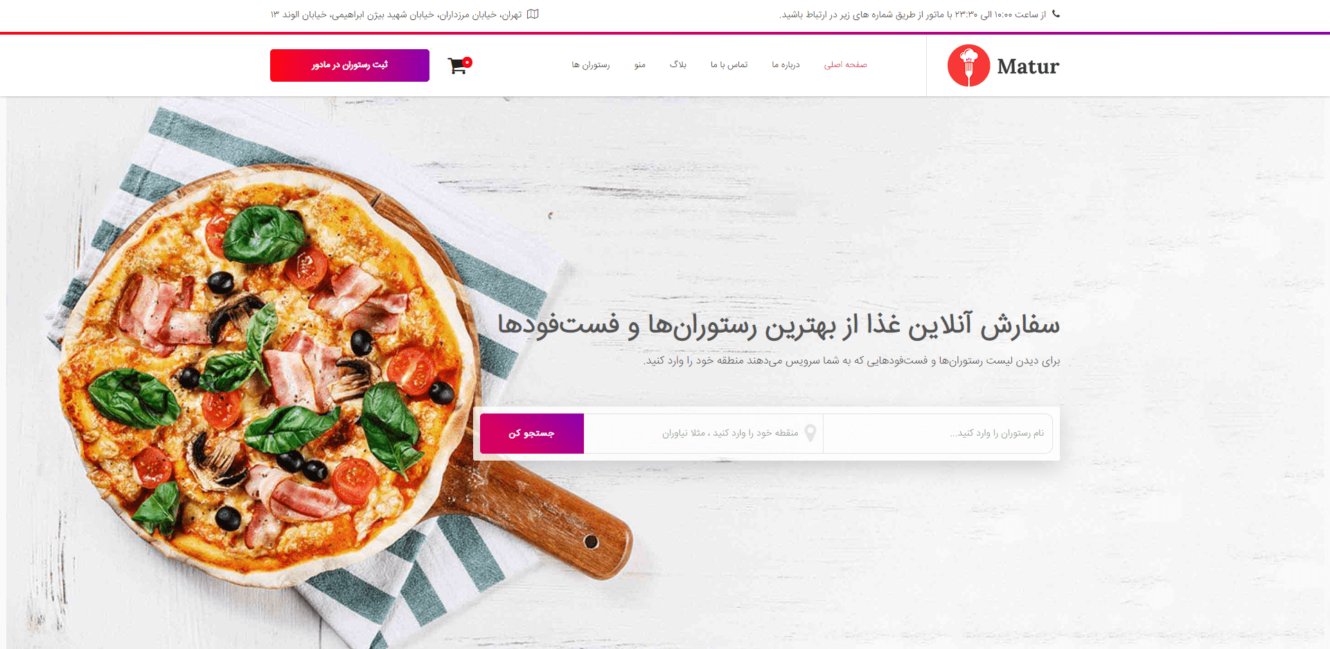<strong>بهترین</strong> <strong>قالب</strong> شخصی وردپرس Bionick