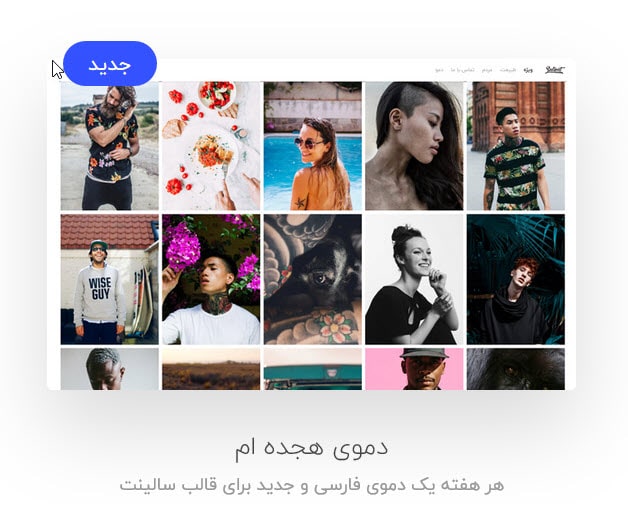 قالب سالینت