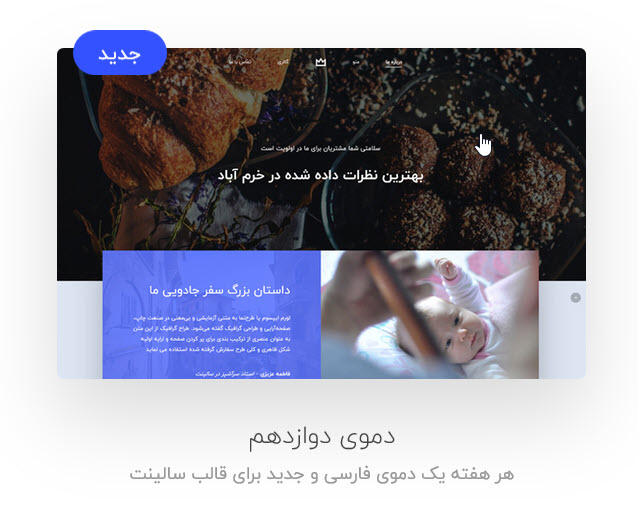 قالب سالینت