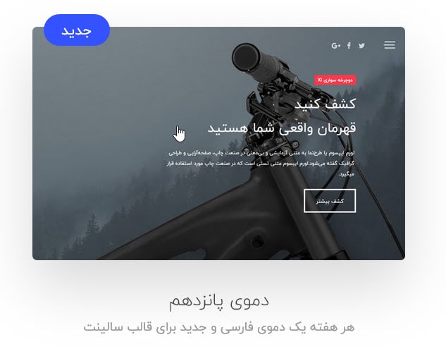 قالب سالینت