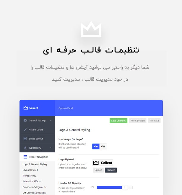 قالب سالینت