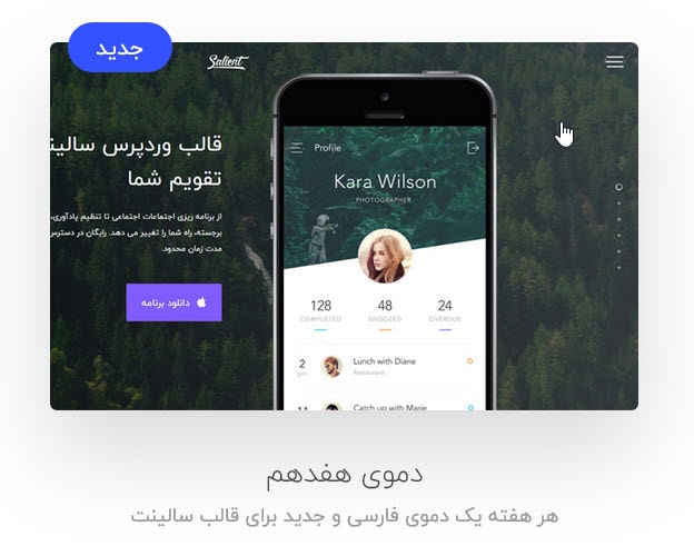 قالب سالینت