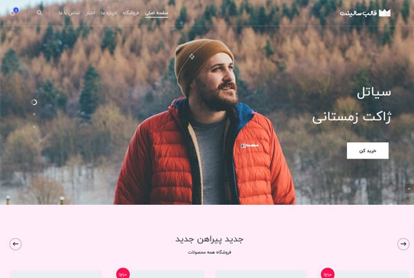 salient ecommerce ultimate