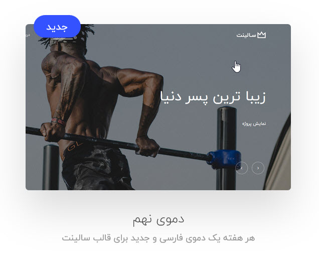 قالب Salient