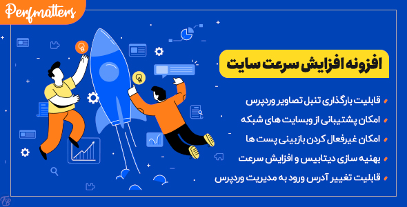 بررسی و دانلود افزونه Perfmatters، افزونه افزایش سرعت سایت وردپرس اورجینال